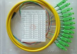 12芯束狀尾纖廠家圖片 高清圖 細節圖 慈溪市宏玖通信設備廠 捷配儀器儀表網
